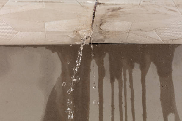 Professional Structural Drying technician working in Belfast, ME